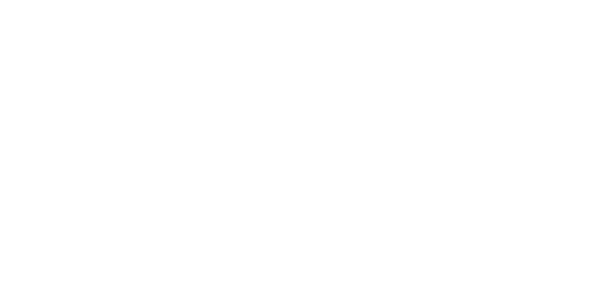 selavip-foundation-logo